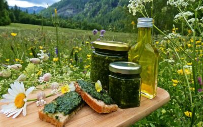 du 18 au 20 juin 2021 : week-end plantes sauvages comestibles – 265 €