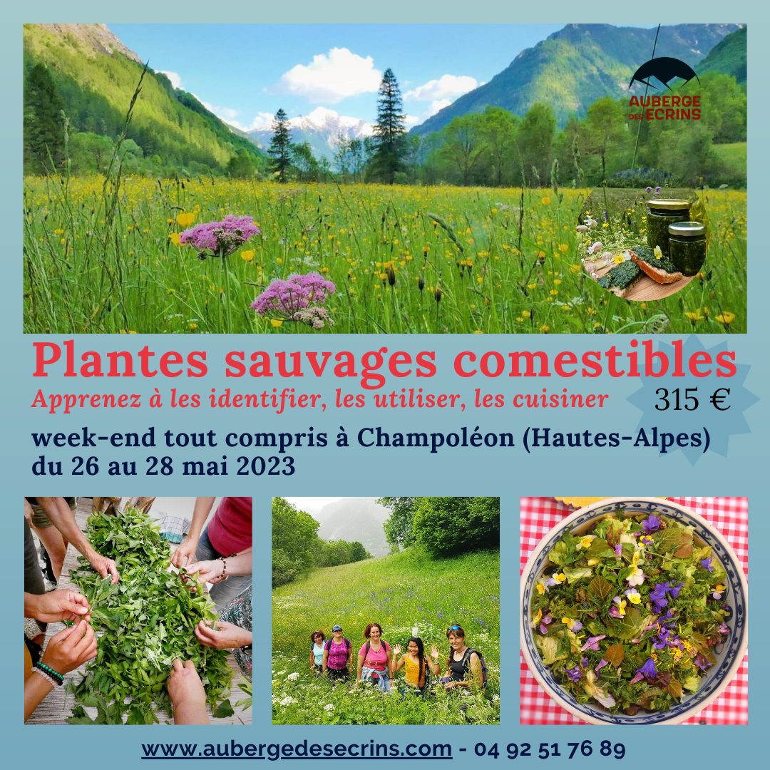 FLYER SEJOUR PLANTES 2023(1)