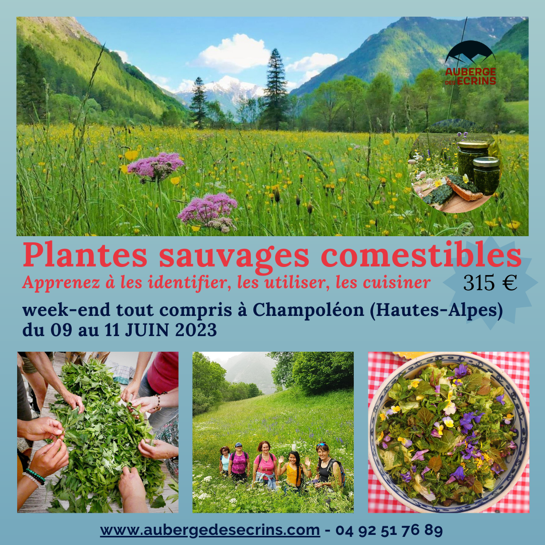 FLYER SEJOUR PLANTES JUIN 2023